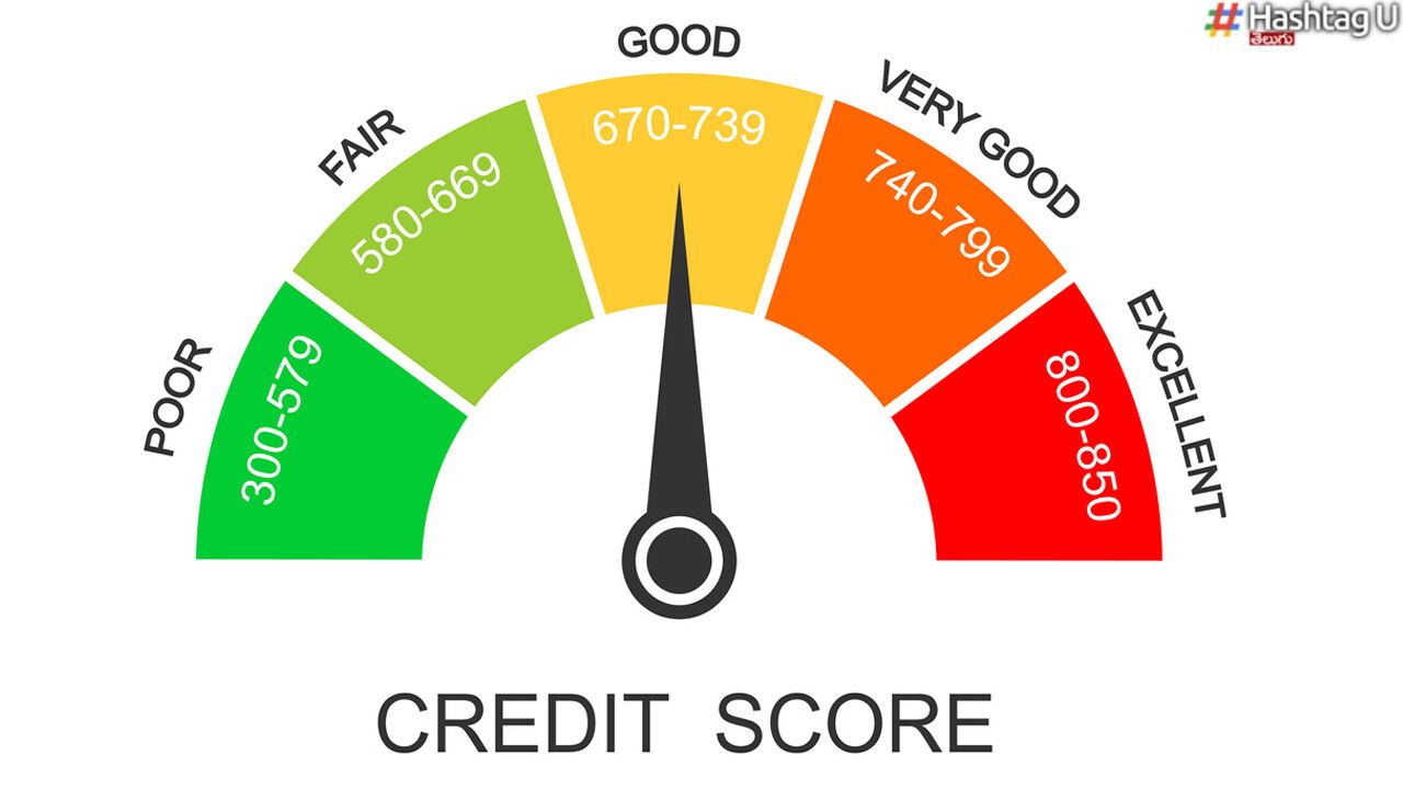 Cibil Report
