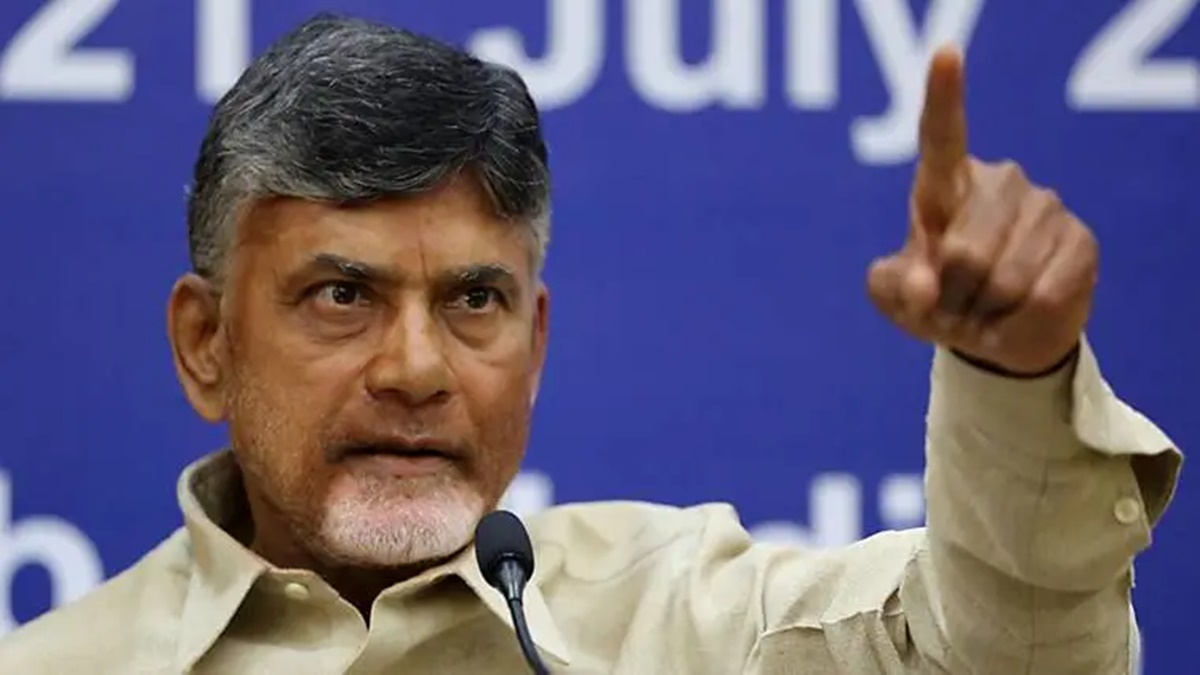 AP Elections 2024