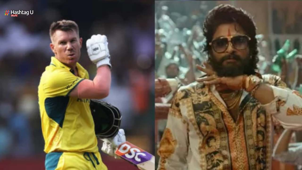 David Warner In Pushpa 2 Sukumar Next Level Plan