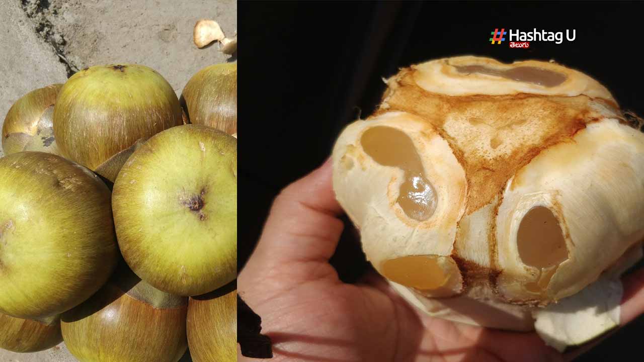 Ice Apples