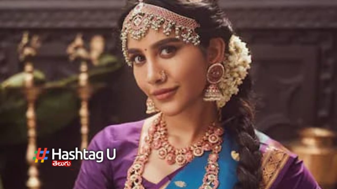 Nabha Natesh