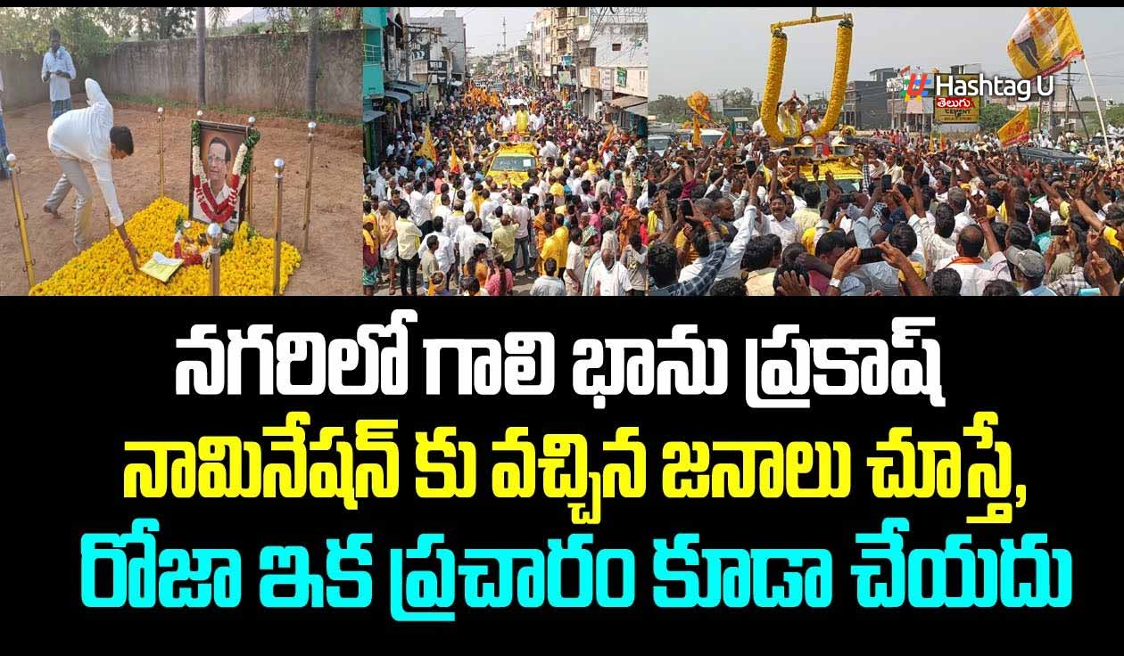 Nagari Tdp Assembly Candida