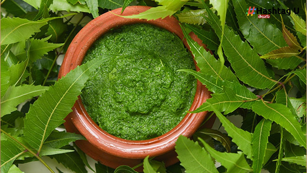 Neem Leaves
