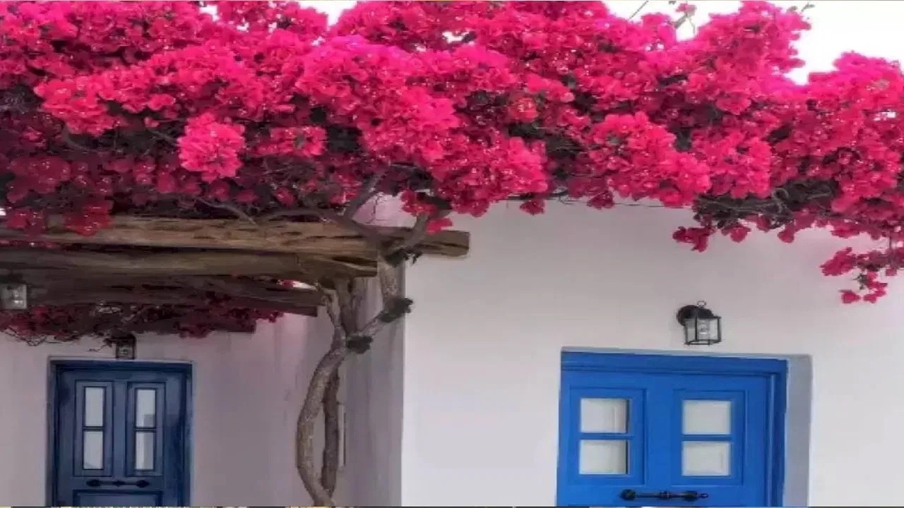 Optical Illusion