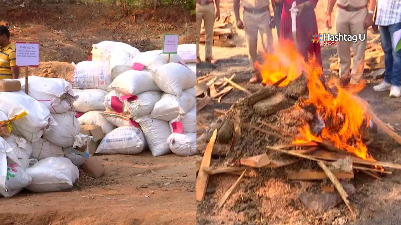 Police Burn Drugs