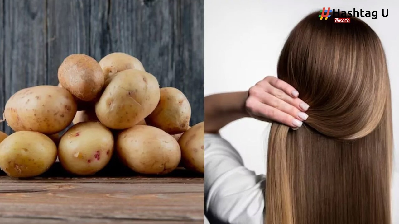 Potato