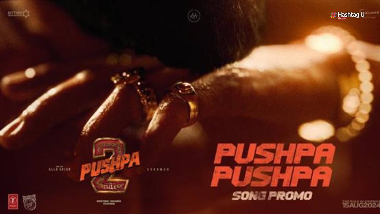 Mytri Makers Producer Ravi Shankar about Pushpa 2