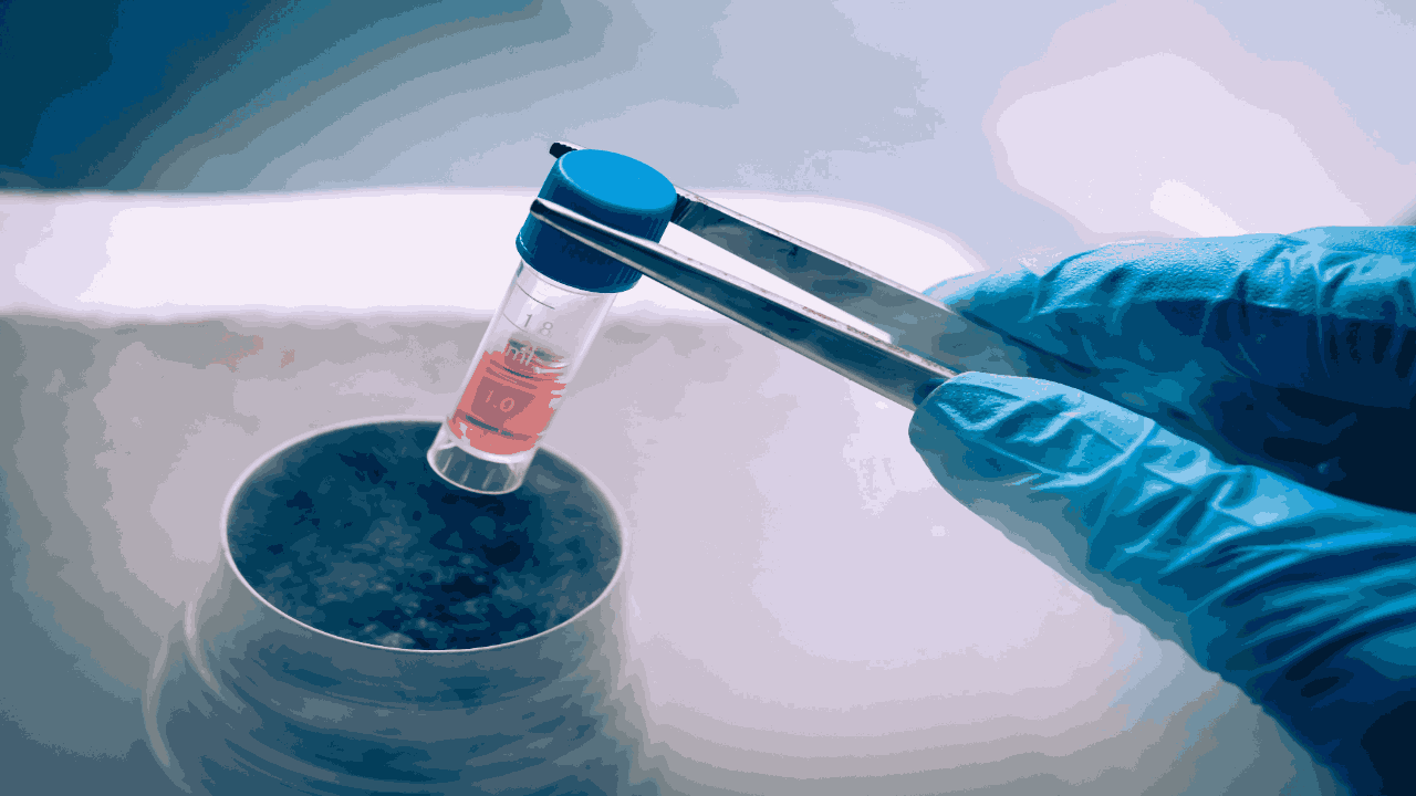 Egg Freezing