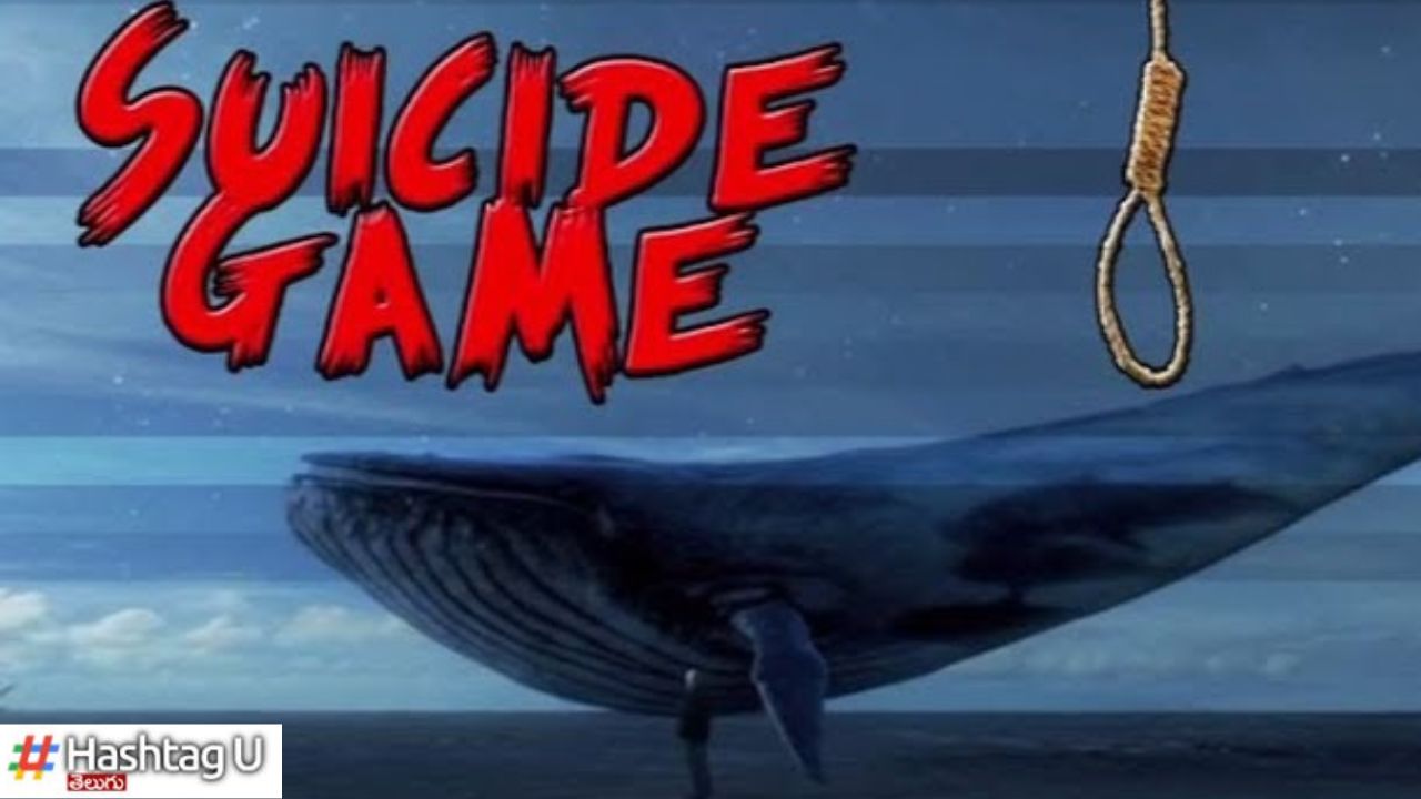 Suicide Game