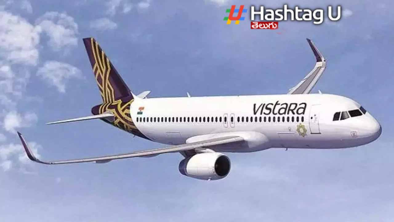 Vistara Flight