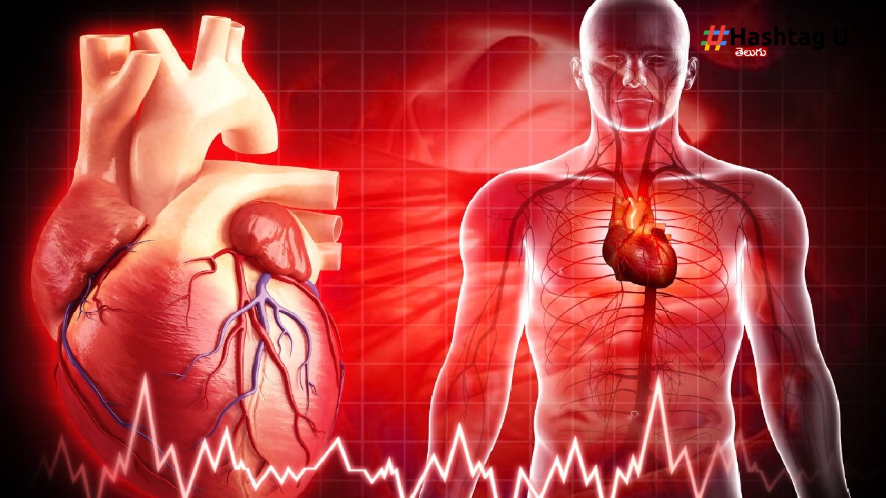 Blood Circulation