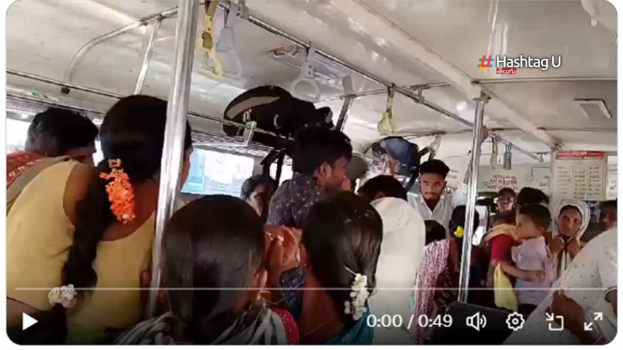 Bus Fight