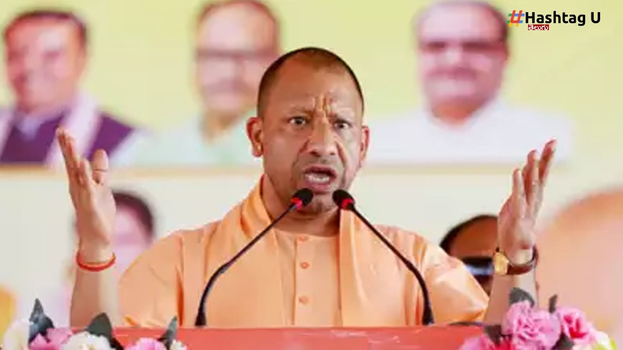 Cm Yogi