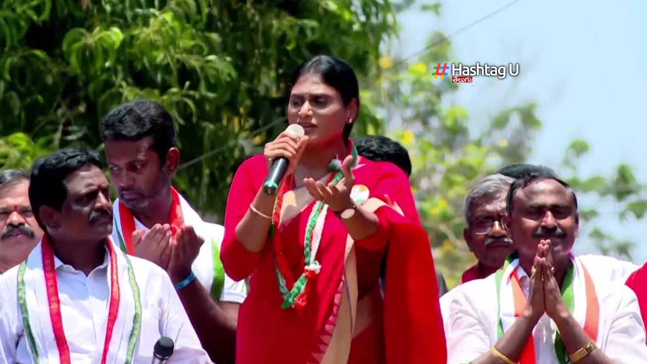 Sharmila Jagan Chance