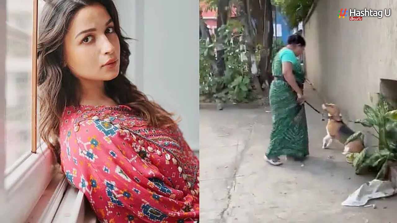Viral Video