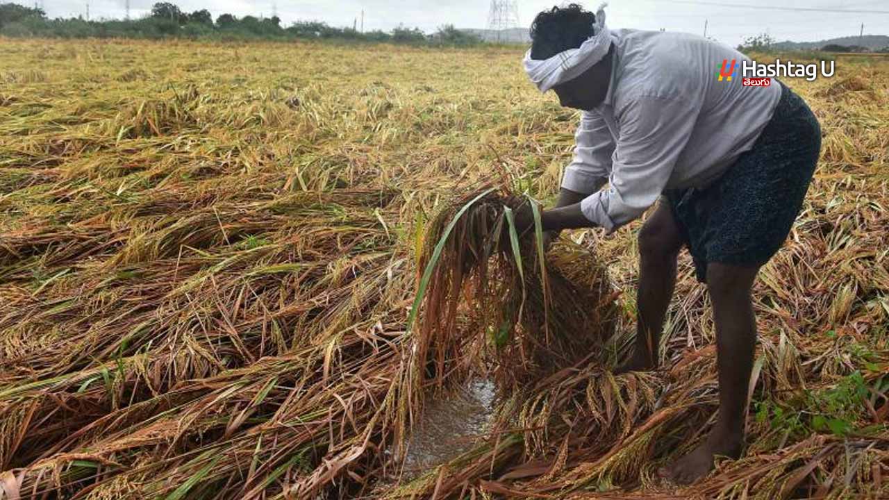 Agriculture Department Offi