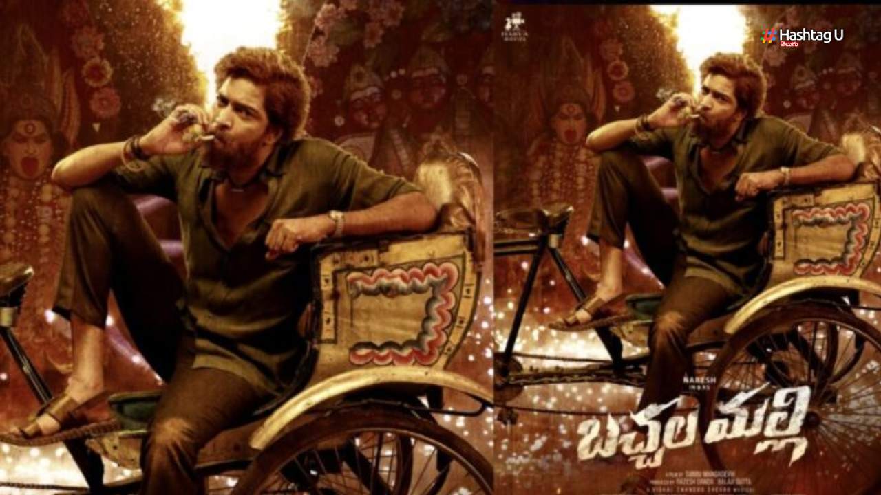 Allari Naresh Bacchala malli Business Details