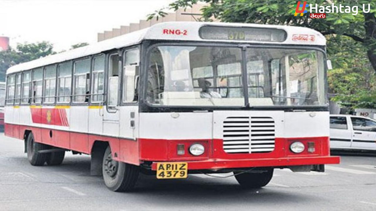 City Buses