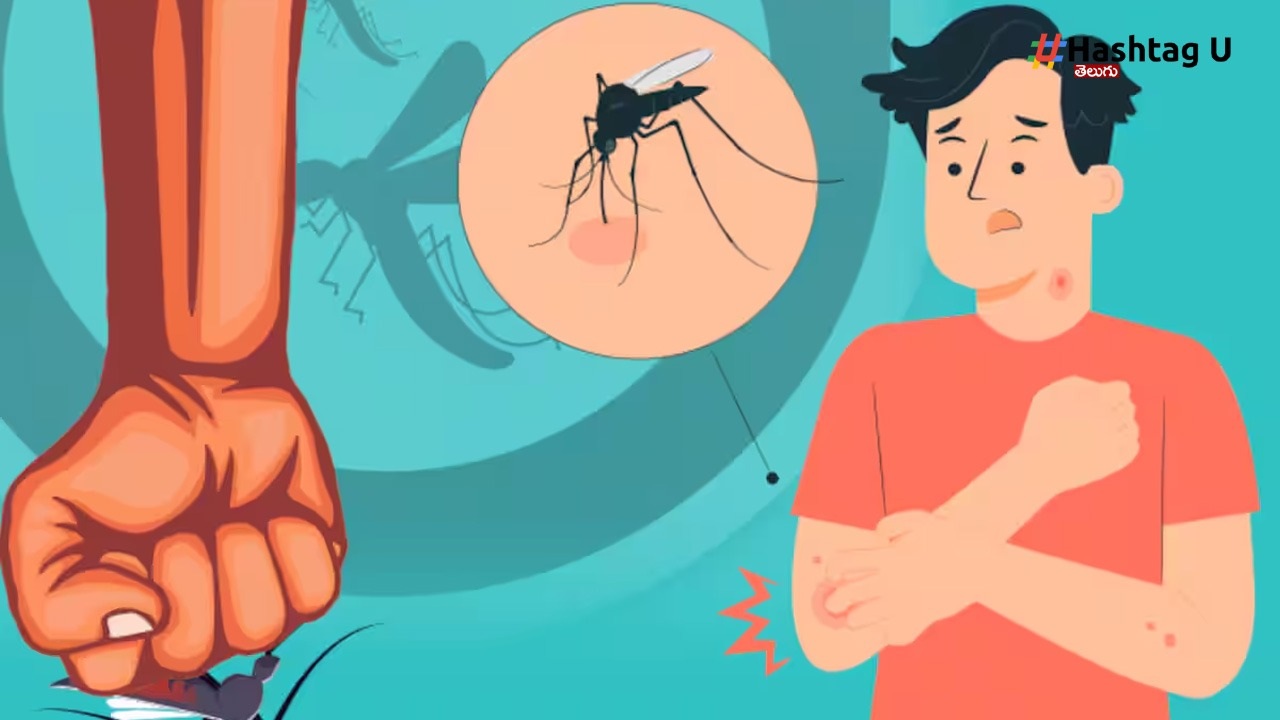 Dengue