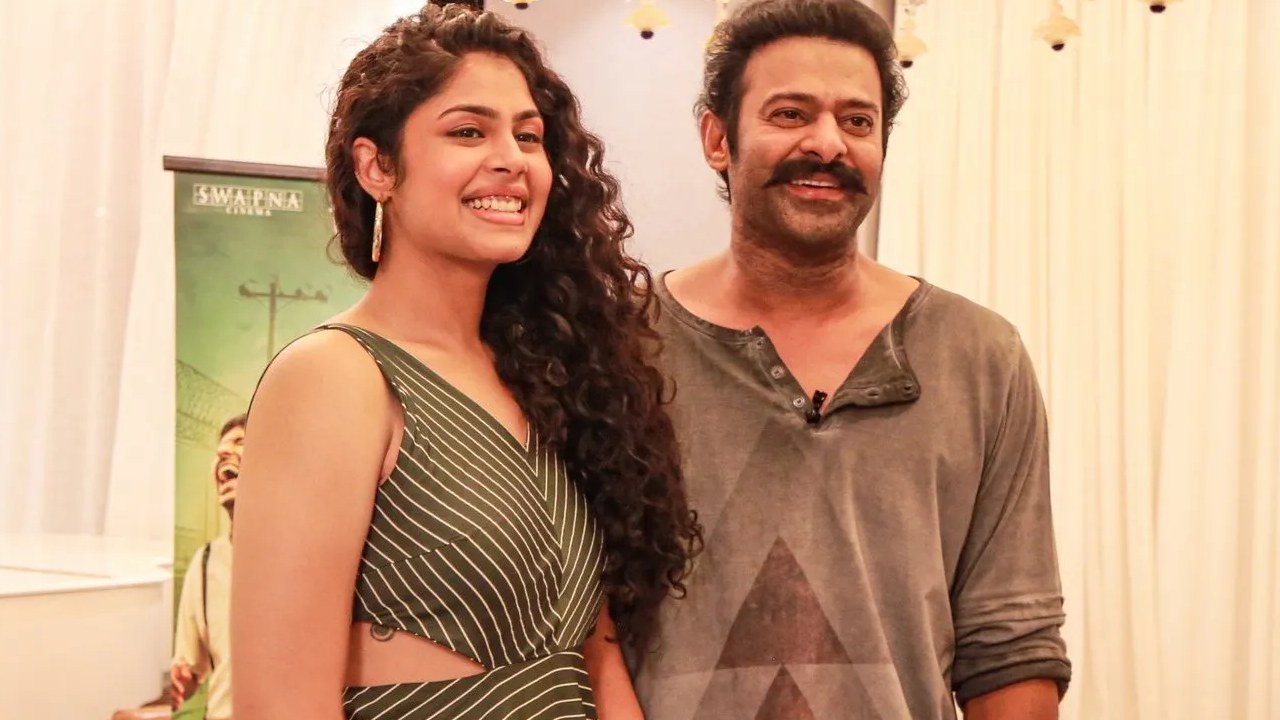Faria Abdullah Interesting Comments About Prabhas In Aa Okkati Adakku Promotions