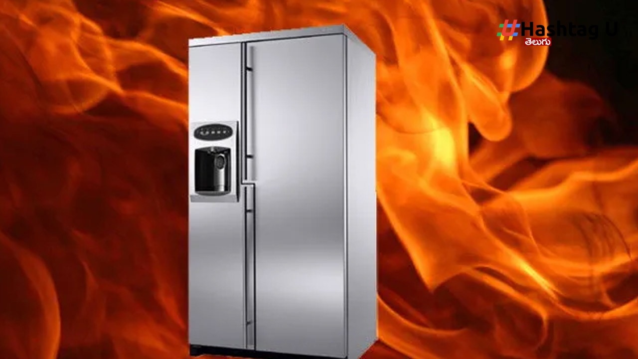 Fridge (1)