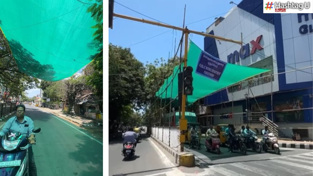 Green Shade Nets