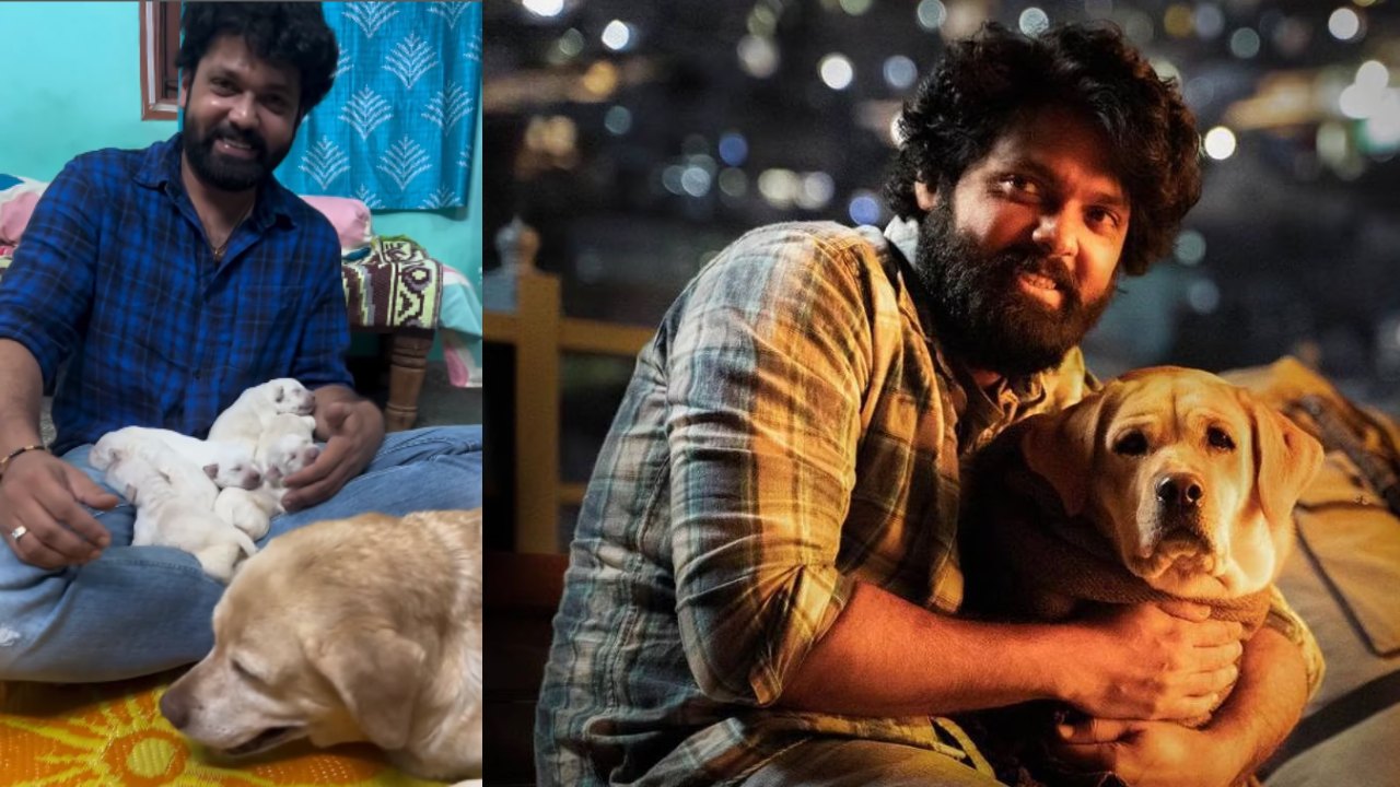Rakshit Shetty 777 Charlie Movie Dog Gave Birth To Six Puppies