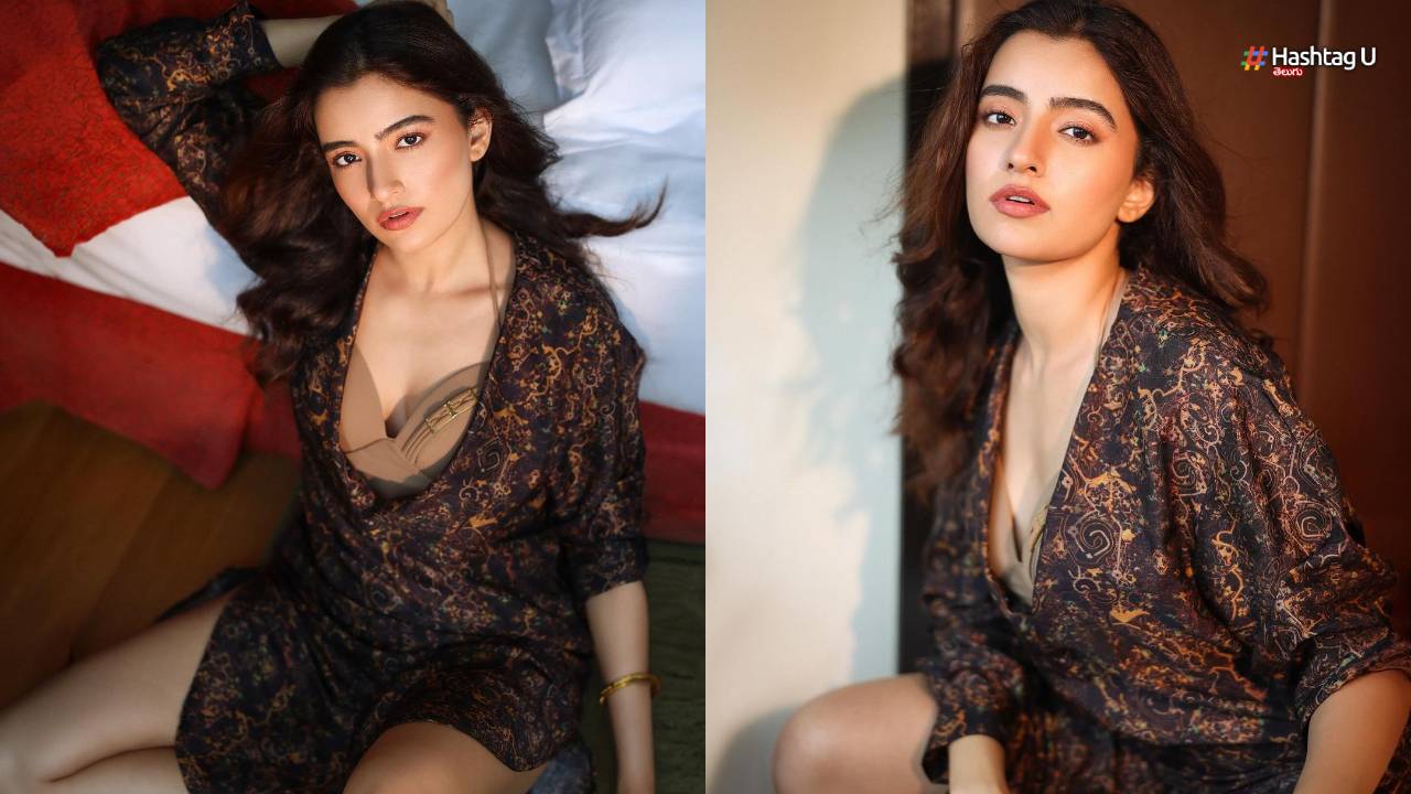 Rukshar Dhillon Latest Photoshoot