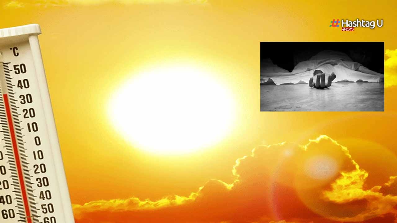Tg Sun