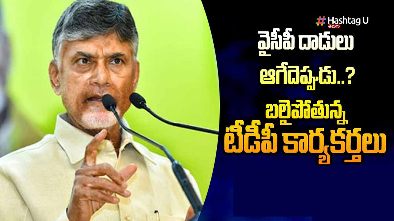 Cbn Ycp