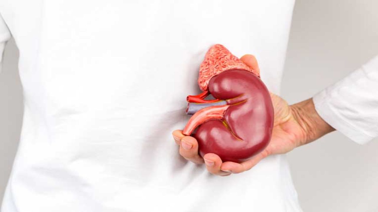 Foods To Kidneys