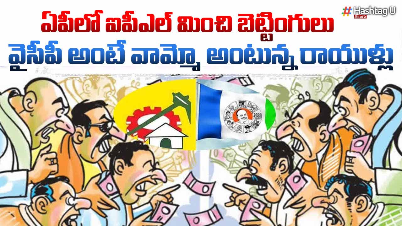Ycp Betting