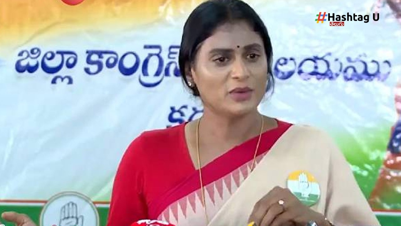 YS Sharmila Comments