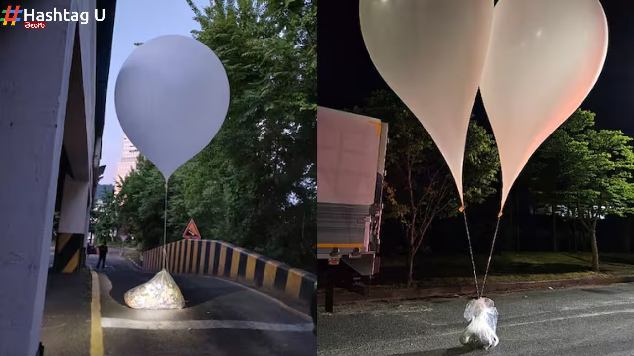 600 Trash Balloons