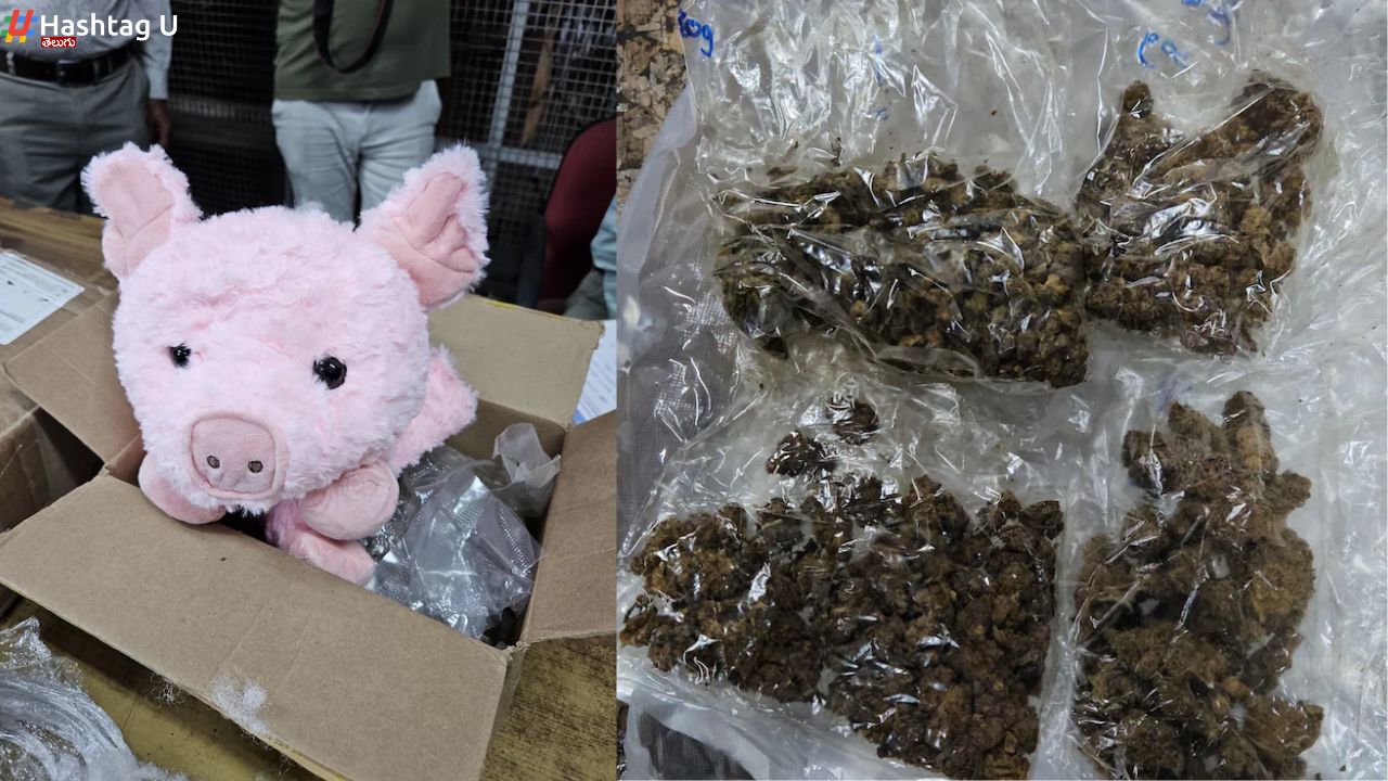 Drugs In Toys
