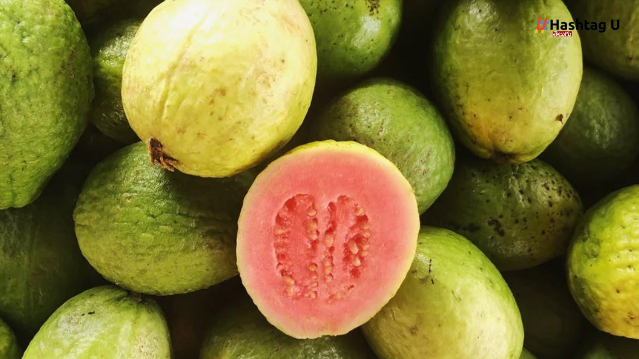 Guava Side Effects