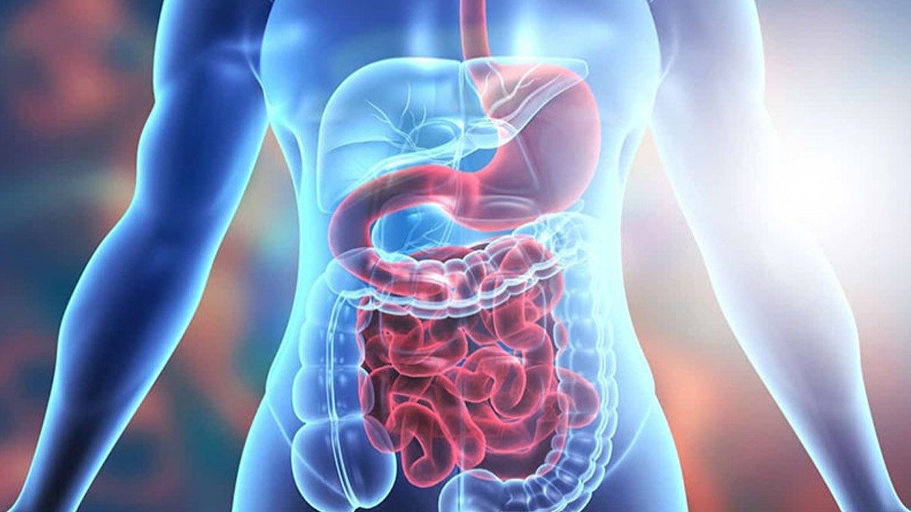Health Tips (3)