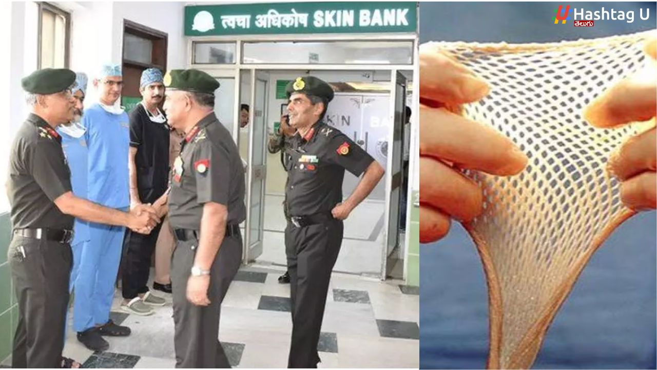 Skin Bank