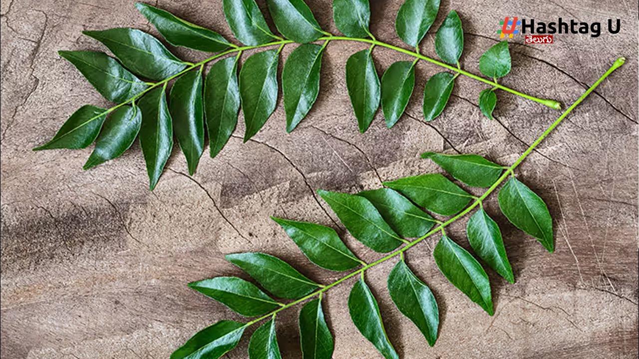Curry Leaves Water