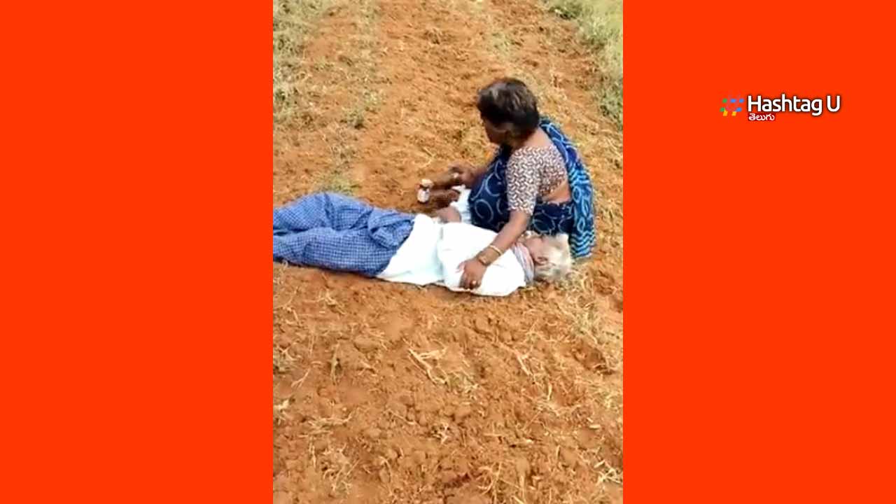 Another Farmer Suicide