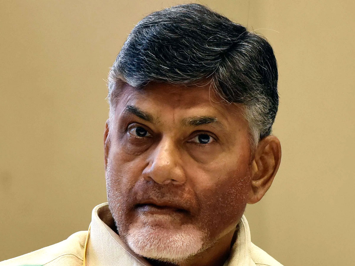 AP Unemployed Youth