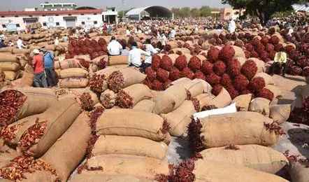 Chilli Price