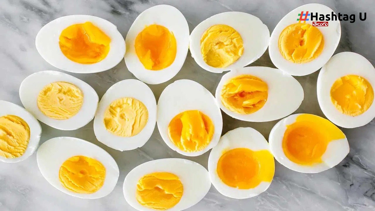 Egg Benefits