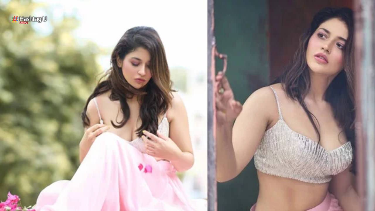 Siddhu Jonnalagadda Tillu Cube Heroine Chance For Priyanka Jawalkar