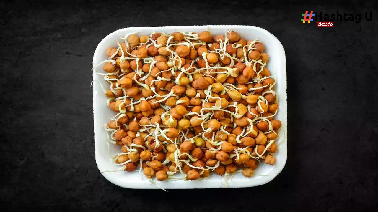 Sprouts 