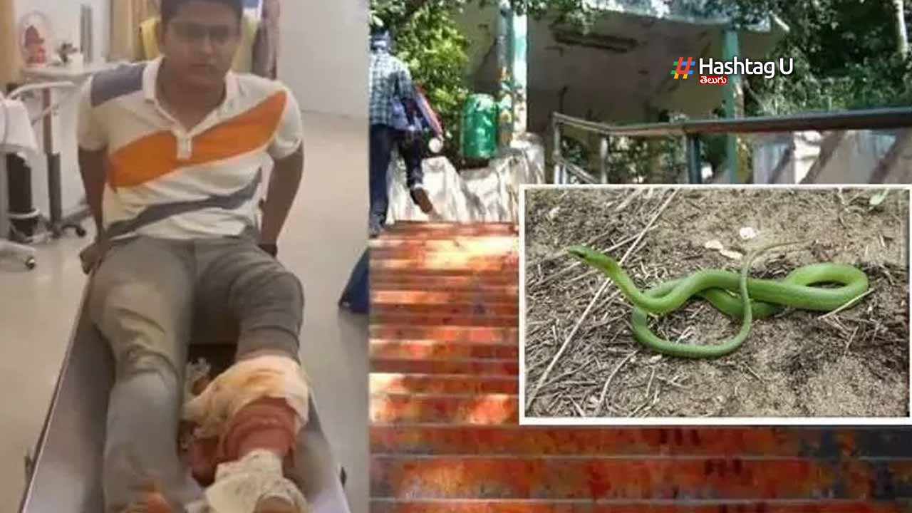 Alipiri Steps Devotees