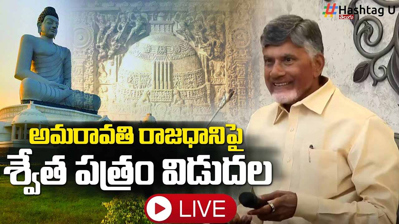 Cm Chandrababu Released A W