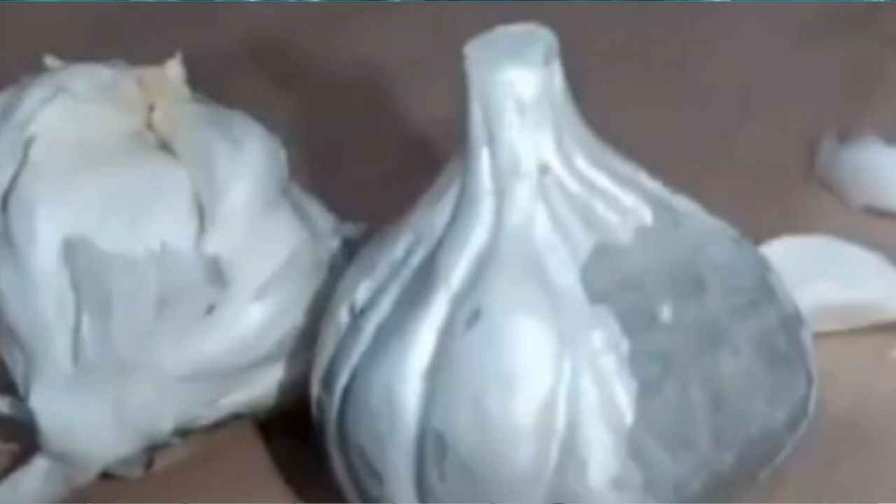 Cement Garlic