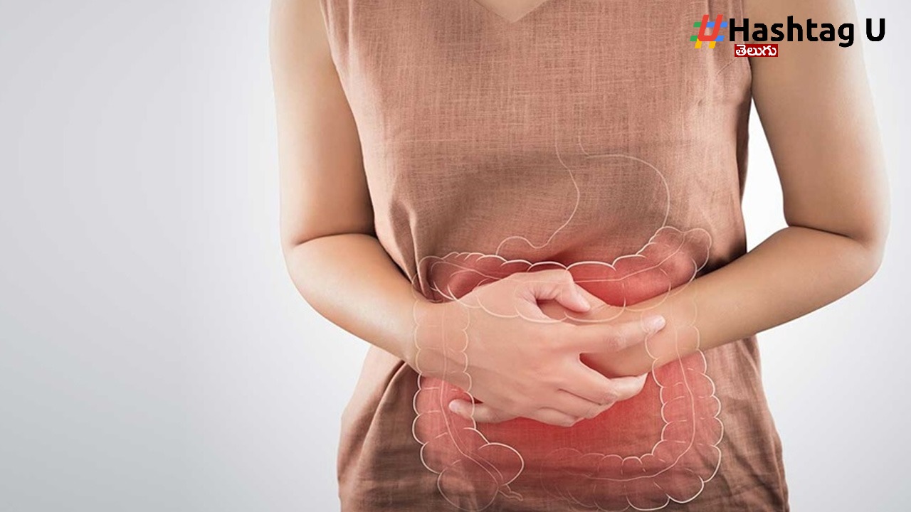 Improve Digestion