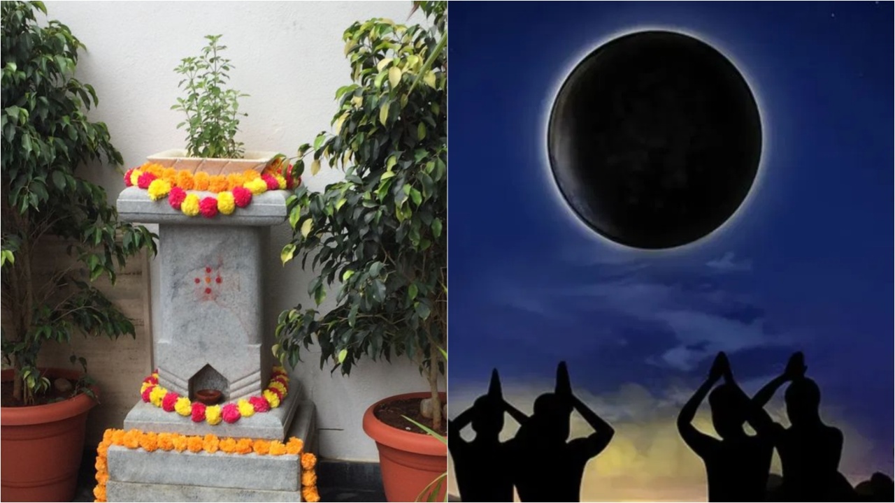 Polala Amavasya